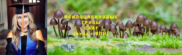 экстази Бежецк