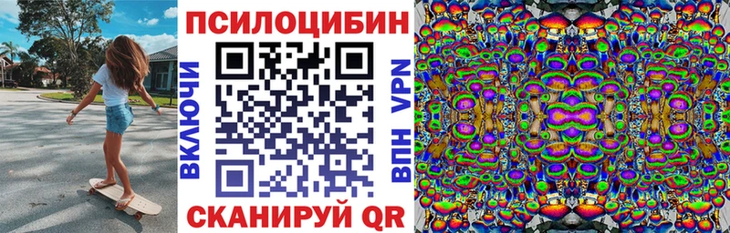 гидра ссылки  продажа наркотиков  Дятьково  Псилоцибиновые грибы Magic Shrooms 