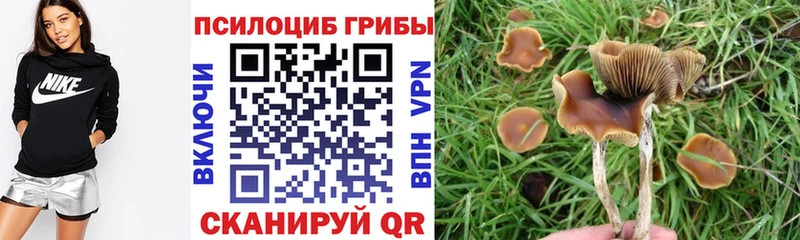 Галлюциногенные грибы Cubensis Дятьково