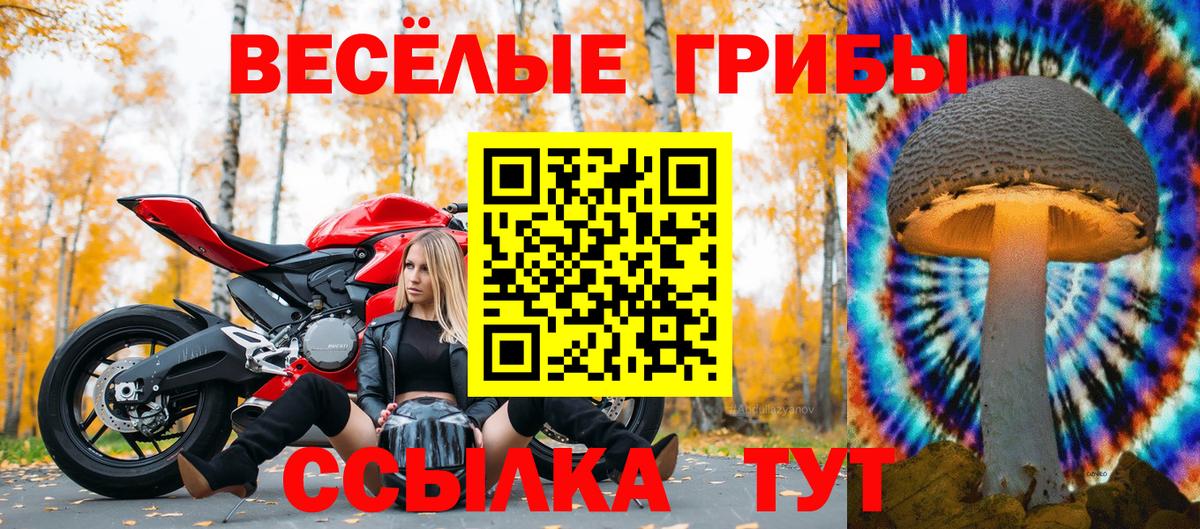 Галлюциногенные грибы MAGIC MUSHROOMS Дятьково