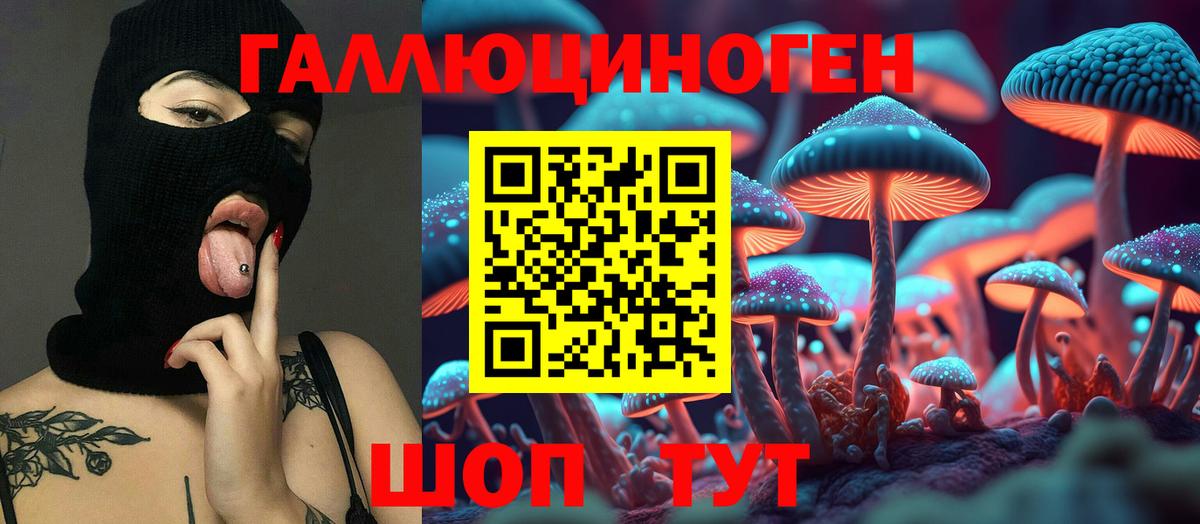 Псилоцибиновые грибы MAGIC MUSHROOMS  Вход с VPN  Дятьково 