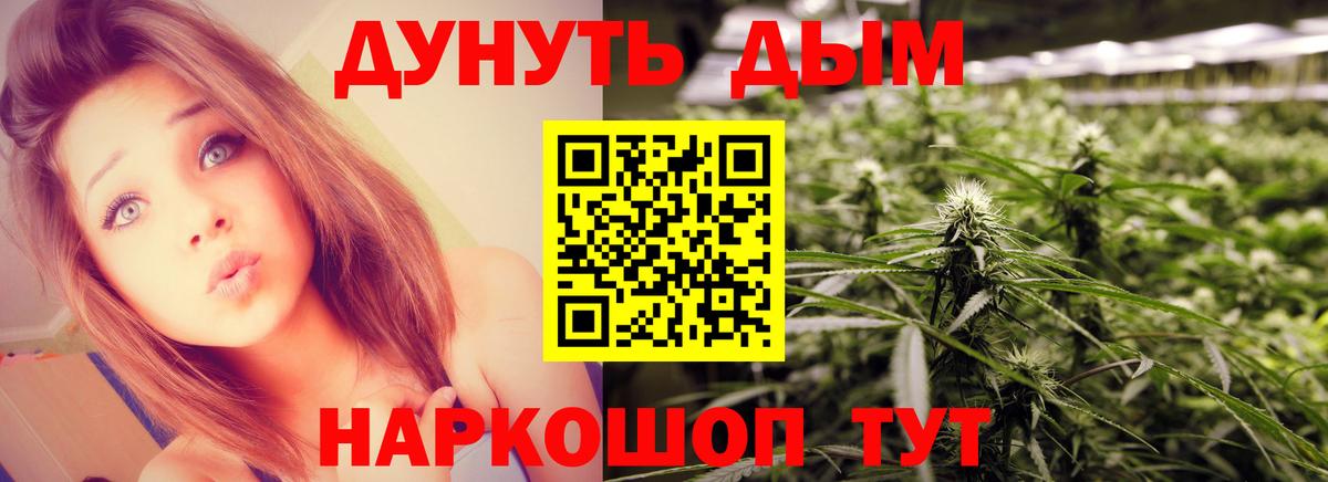 Конопля сатива  Каннабис индика  Дятьково  Бошки Шишки Bruce Banner  Конопля Amnesia 